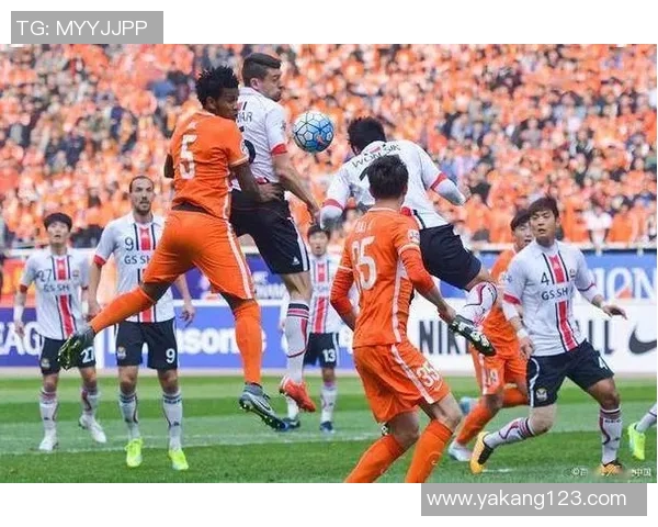 悉尼与惠灵顿凤凰的精彩对决比分揭晓，赛季战况分析与未来展望