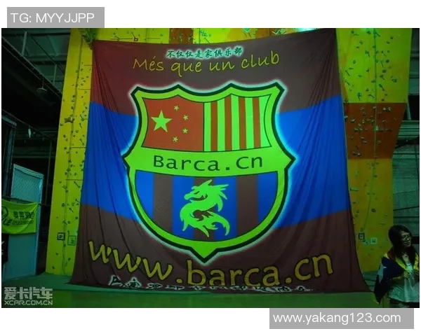 欧冠门票系统瘫痪数万球迷苦等12小时抢购梦幻之票