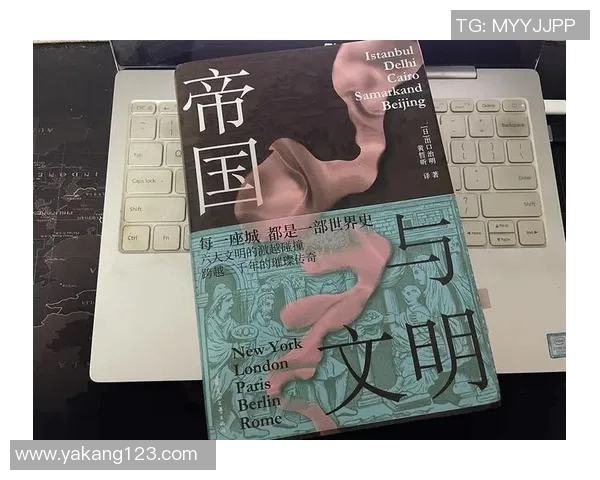 巴黎与伊斯坦布尔冲突背后的文化碰撞与历史纠葛探讨