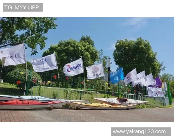 广州羽毛球队速度之美探秘：从训练到比赛的全景观察MBA