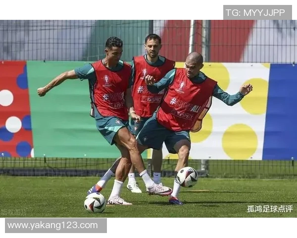 2019年葡萄牙与荷兰激战回顾:精彩瞬间与战术分析 2019年葡萄牙与荷兰激战回顾:精彩瞬间与战术分析