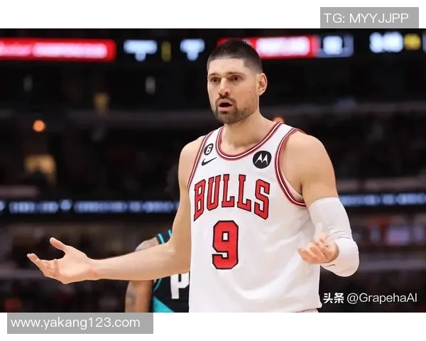 尼古拉武切维奇的传奇人生与篮球成就探秘