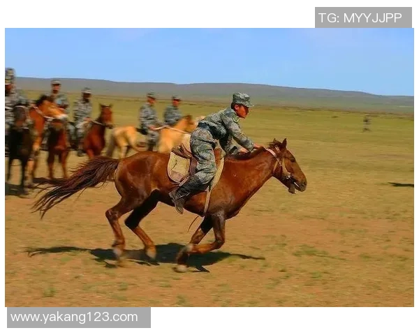 巴竟技与阿体育的巅峰对决谁将赢得最终荣耀与胜利