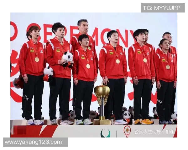 成都排球队在世界杯预选赛中以87分高居积分榜首位展现强劲实力