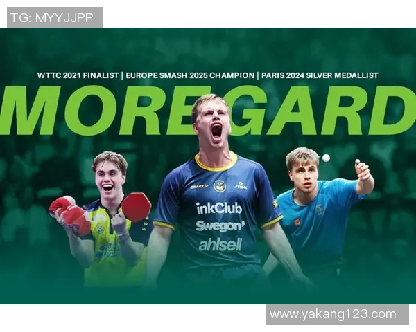 瑞典与法国足球比赛在线直播全程回顾与精彩瞬间分享 瑞典与法国足球比赛在线直播全程回顾与精彩瞬间分享