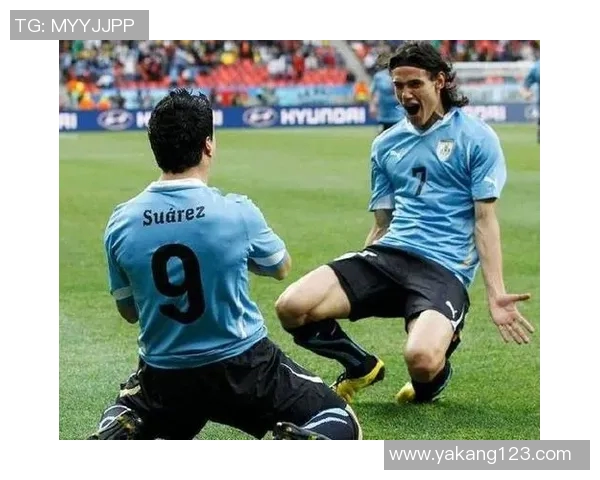 篮球天猫与火花激烈对决谁能在赛场上笑到最后