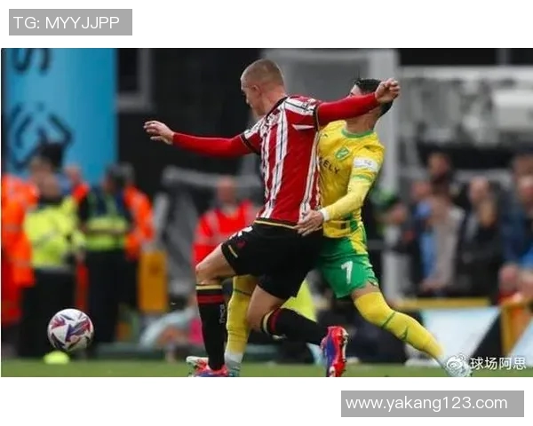 谢菲尔德联队主场迎战赫尔城争夺英冠积分榜关键战役