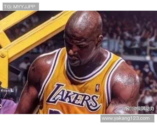 篮球明星大宝的传奇之路：从青涩少年到全能球场巨星的成长故事