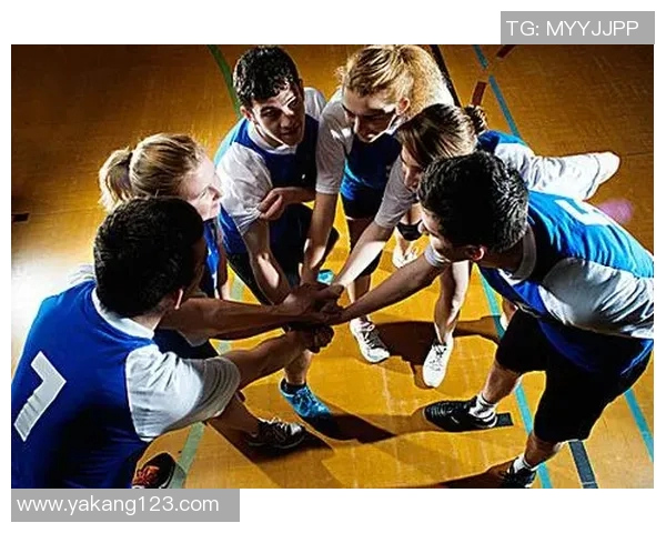 南京排球队的节奏揭秘：深度解析排球运动的魅力与团队协作