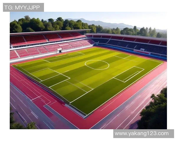 从零开始掌握足球比赛技巧与策略全面指南助你成为场上明星