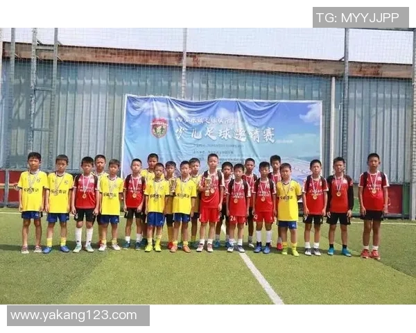 武汉足球队的奋斗历程与荣耀追寻：一段激情与坚持的纪实之旅