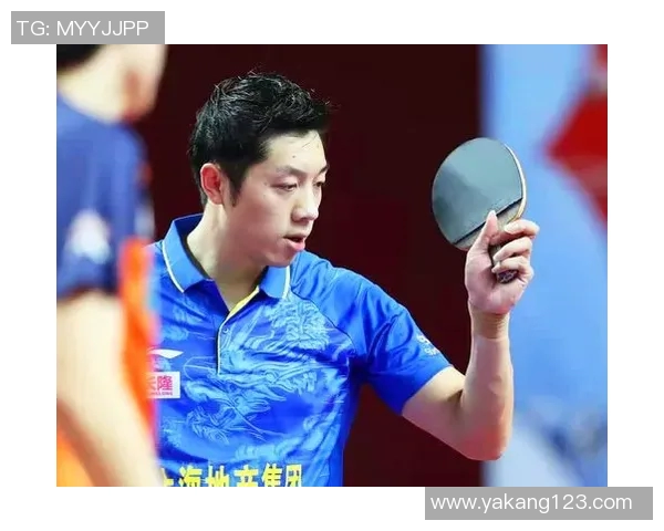 杭州羽毛球队新战术解析：从传统到转换打法的全面升级与应用